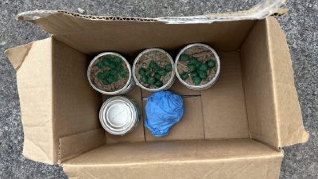 Urgent Warning: Toxic Cat Food