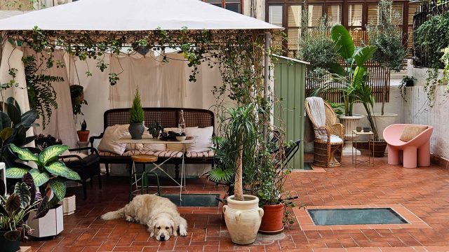 Unbeatable Patio Set Deal: Why
