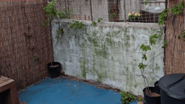 Transforming Outdoor Spaces: A DIY Patio Revival Story