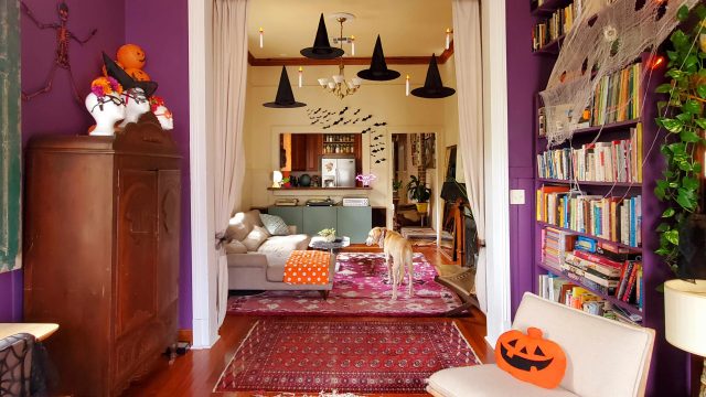 Embrace the Whimsical Vibe Thi