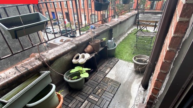 Transform Your Urban Balcony into a Serene Escape | judi onlie, rtp wifitoto, cipit 88 slot login, g