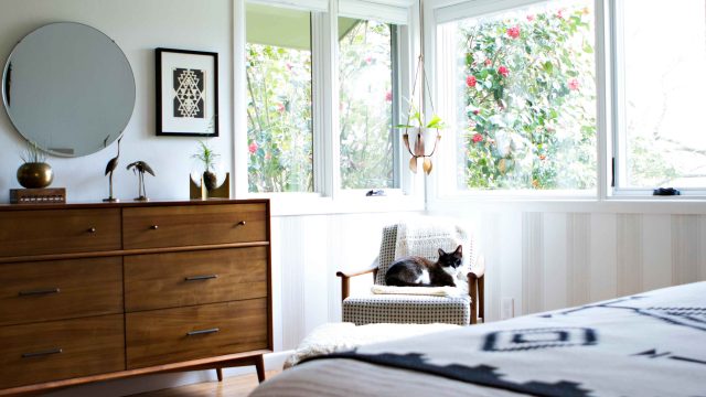 Transforming Pet Care: A New Era for Litter Boxes | gamesys sites, accurate single bet of the day, 9