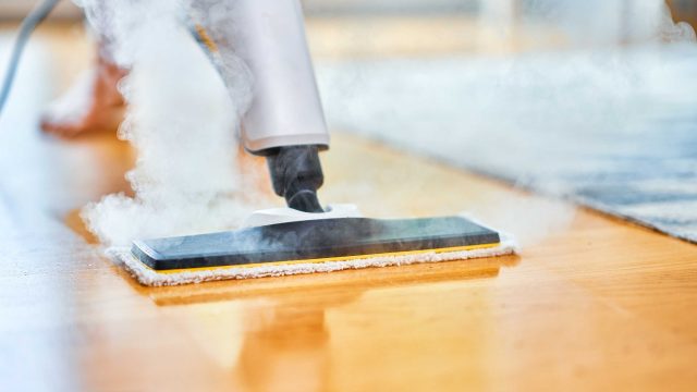 Discover the Power of the Latest Steam Cleaner on Sale Today