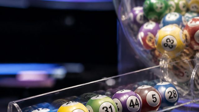 News: Daily Lotto numbers for 