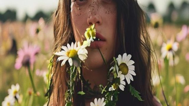 Olivia Rodrigo's Daisy Chain F